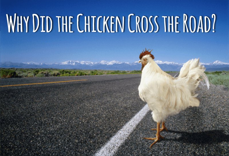 Explore chicken road